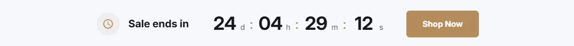 Preview of the Countdown Minimal Shopify section