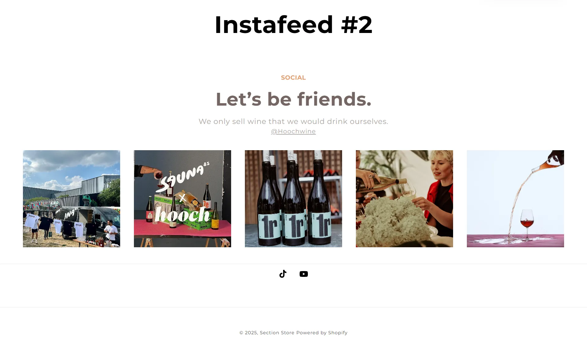 Preview of the Follow the Feed Shopify section