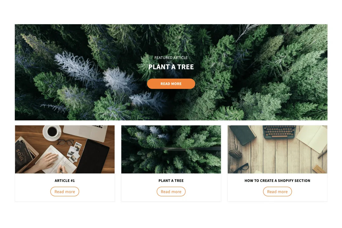 Preview of the From Our Blog Shopify section