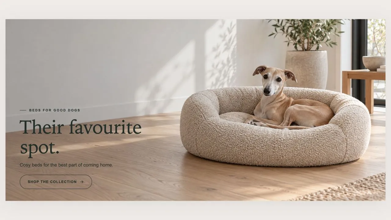 Preview of the Hero Image 1 Shopify section