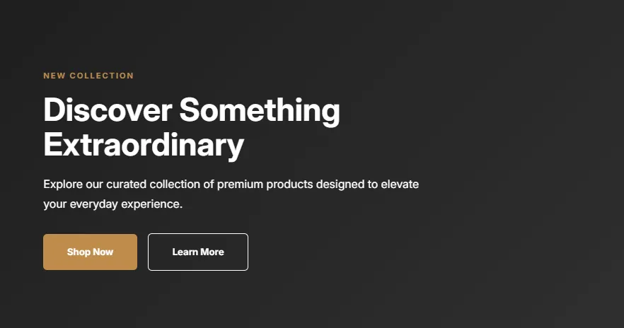Preview of the Image Text Overlay Shopify section