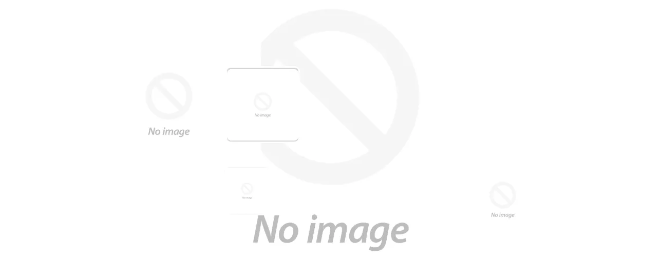 Preview of the Image With Text Premium Shopify section