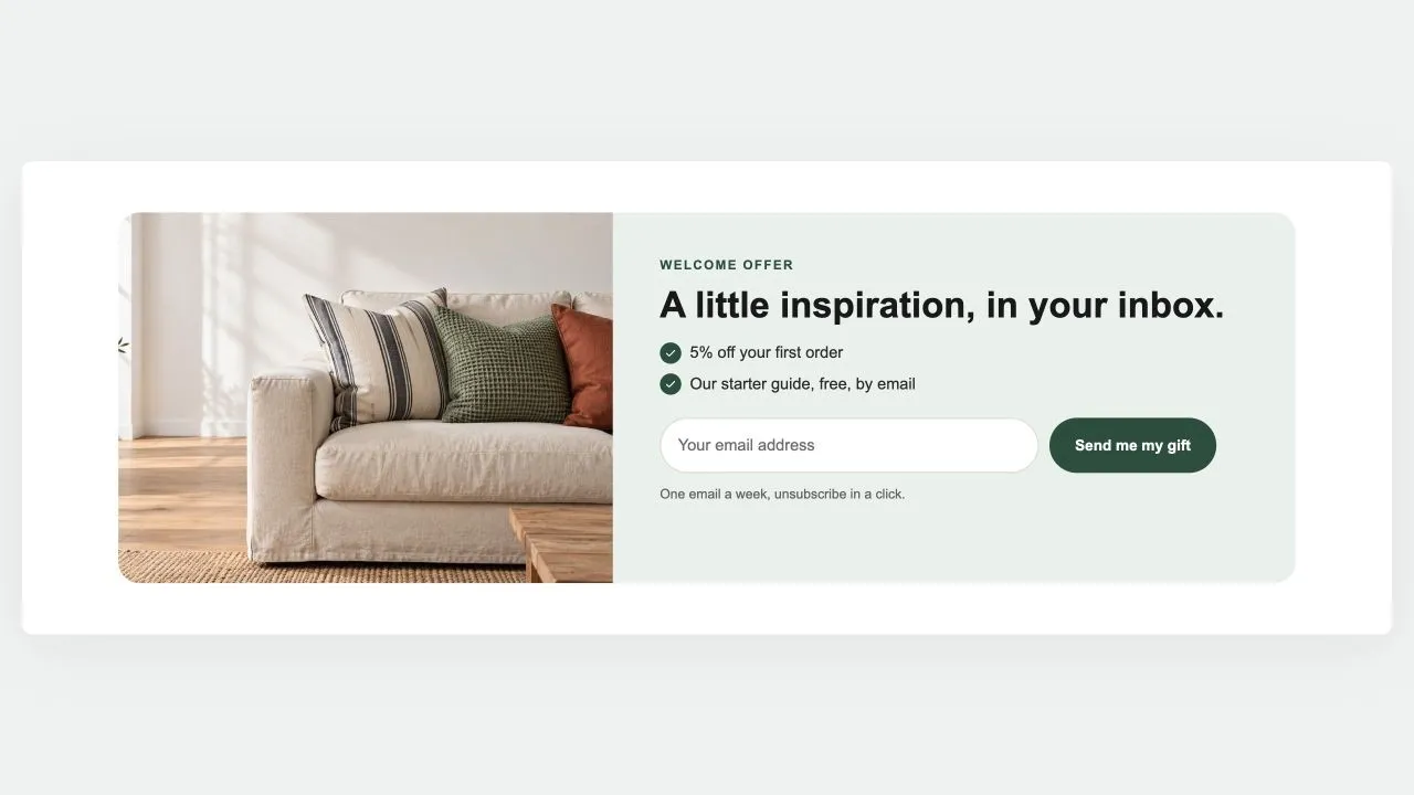 Preview of the Newsletter Band 1 Shopify section
