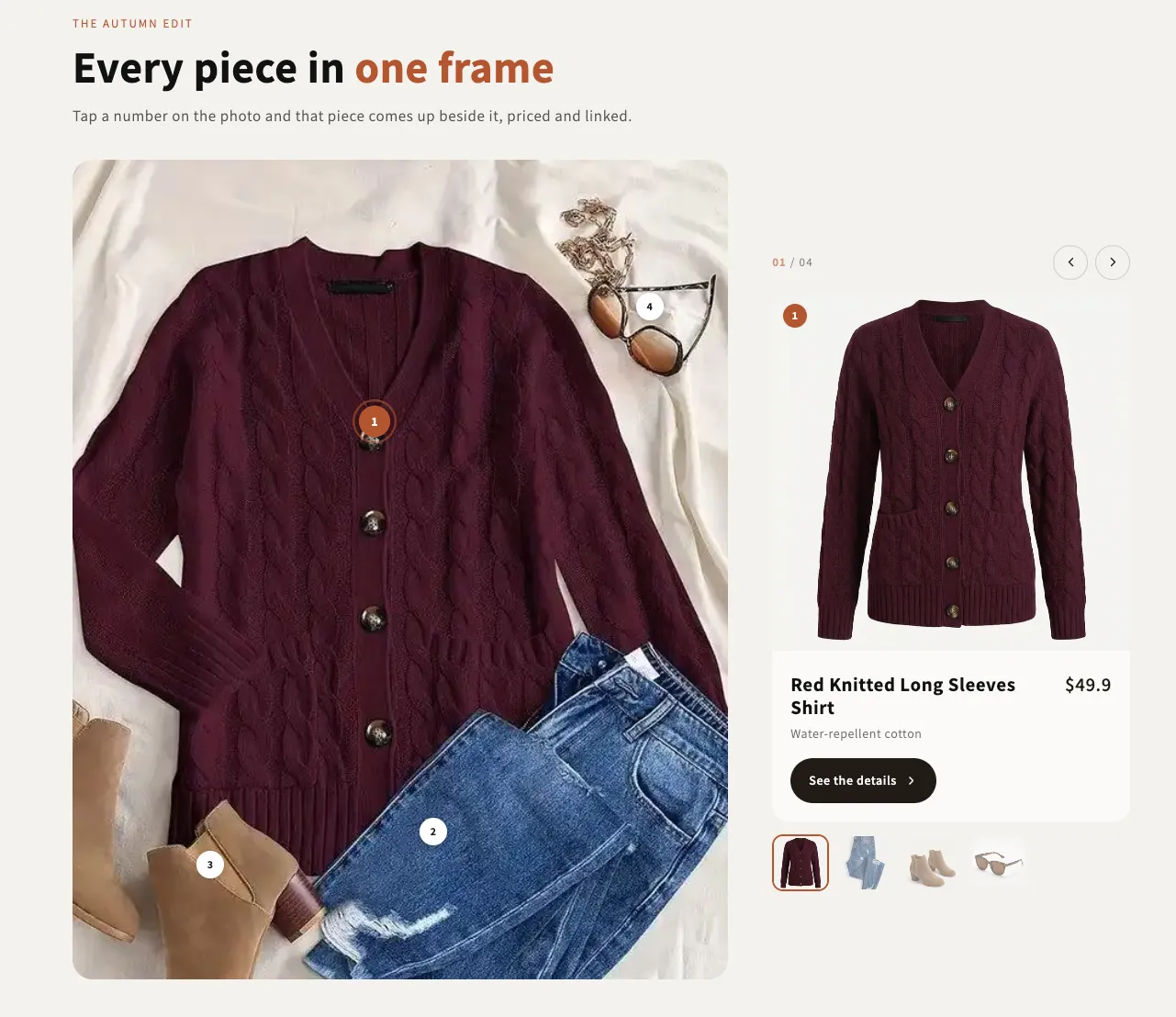 Preview of the Shop The Look 1 Shopify section